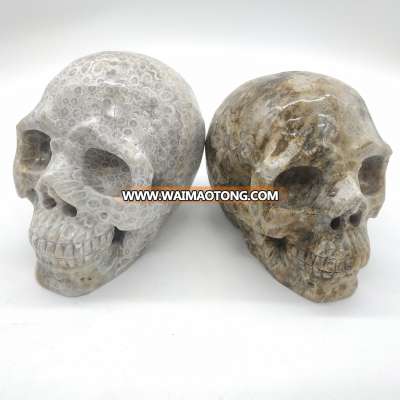 Rare Natural crystal quartz skulls coral jasper skulls beautiful colors healing stone decoration